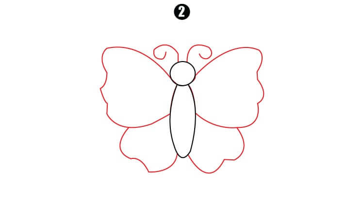 Butterfly Drawing step2