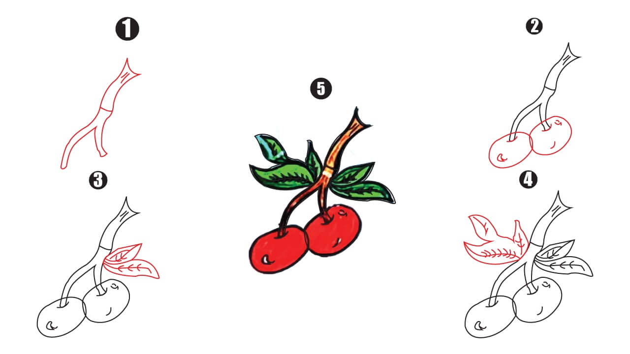 Cherry Drawing step by step