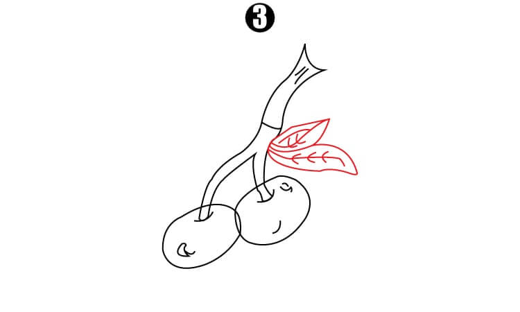 Cherry Drawing step3