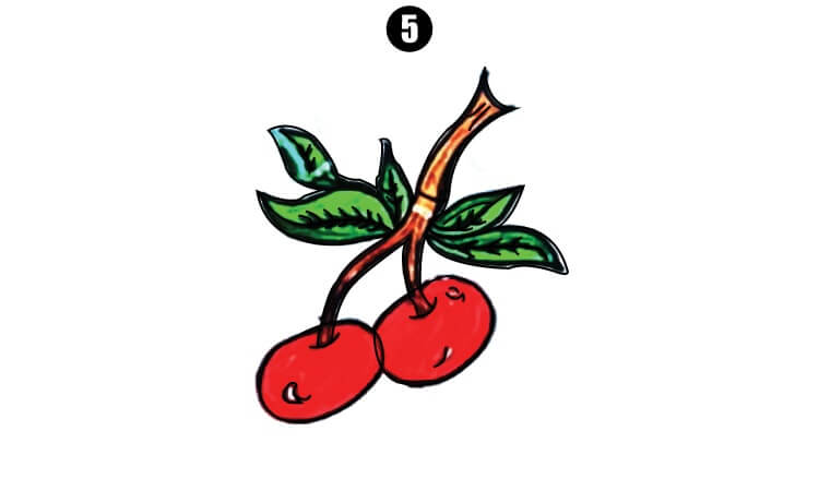 Cherry Drawing step5