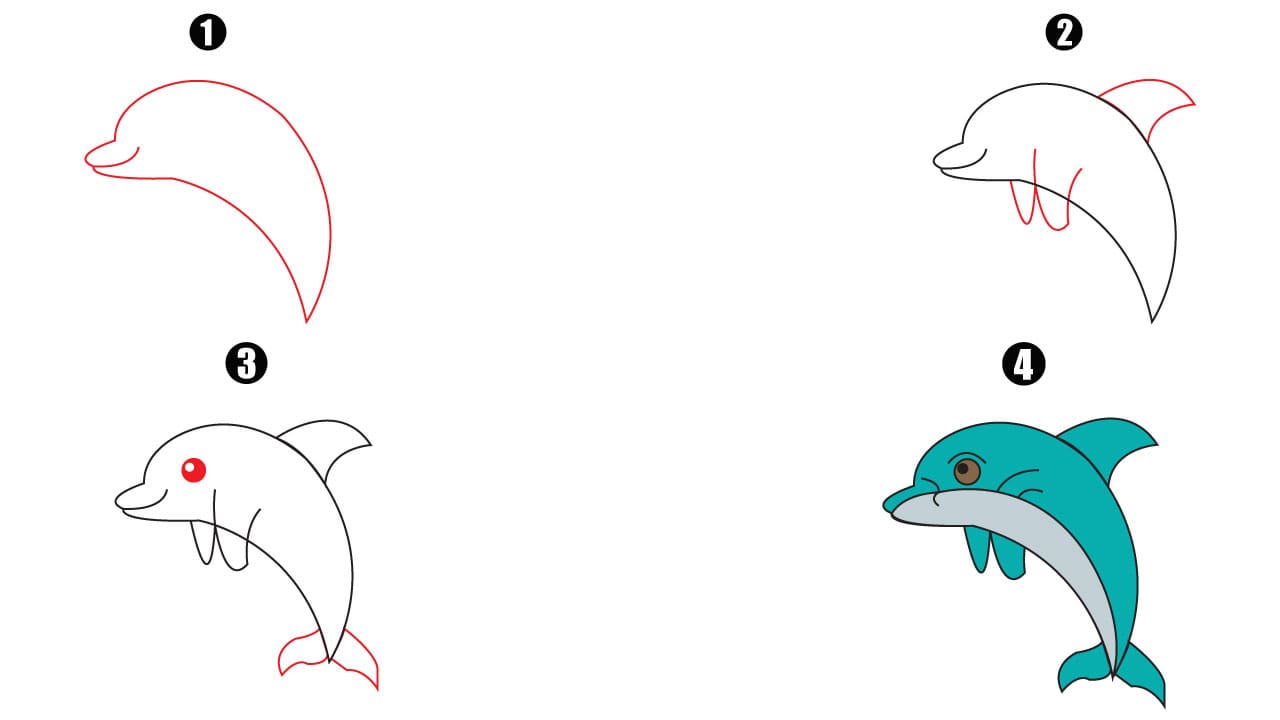 Cute Dolphin Drawing step by step