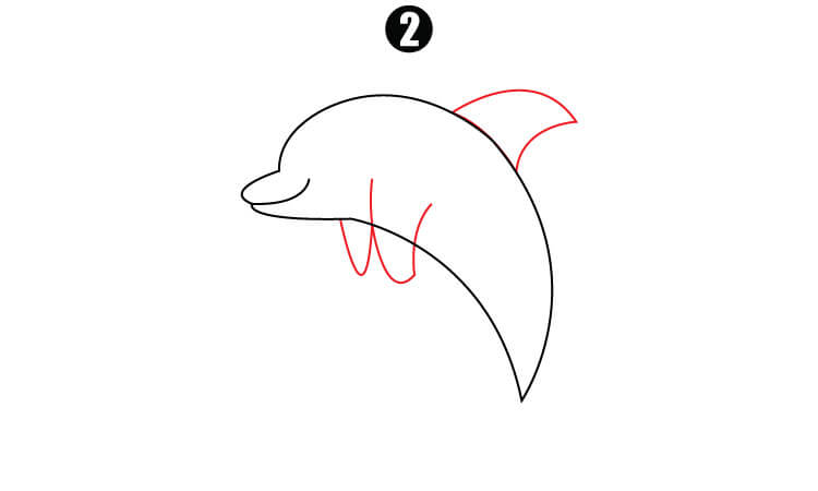 Cute Dolphin Drawing step2