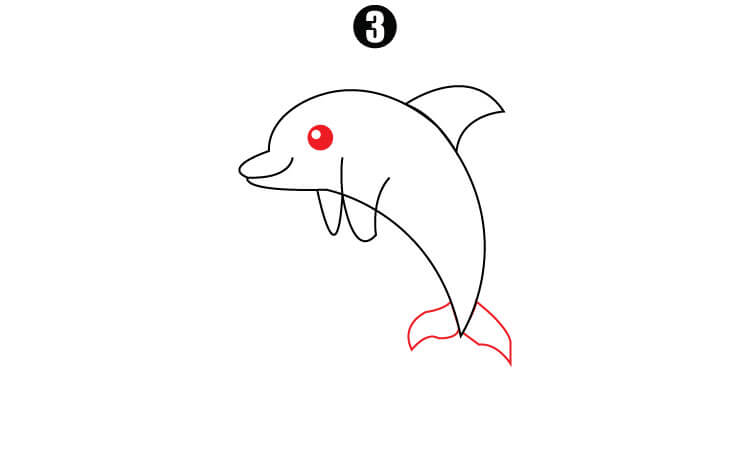 Cute Dolphin Drawing step3