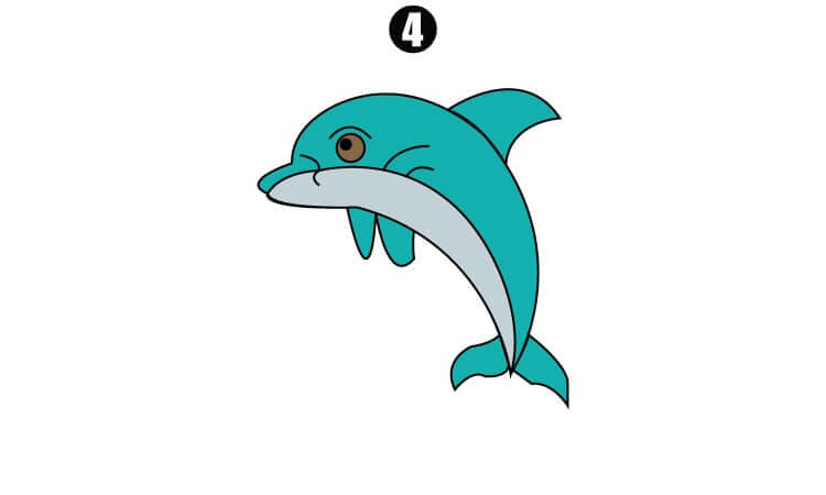Cute Dolphin Drawing step4