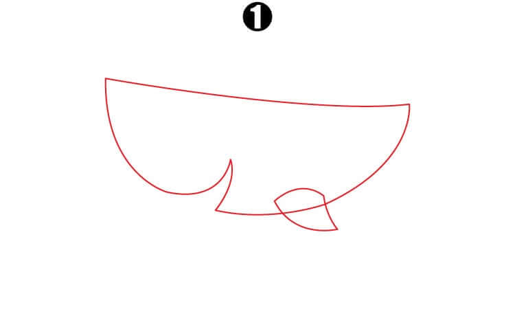 Cute Shark Drawing step1