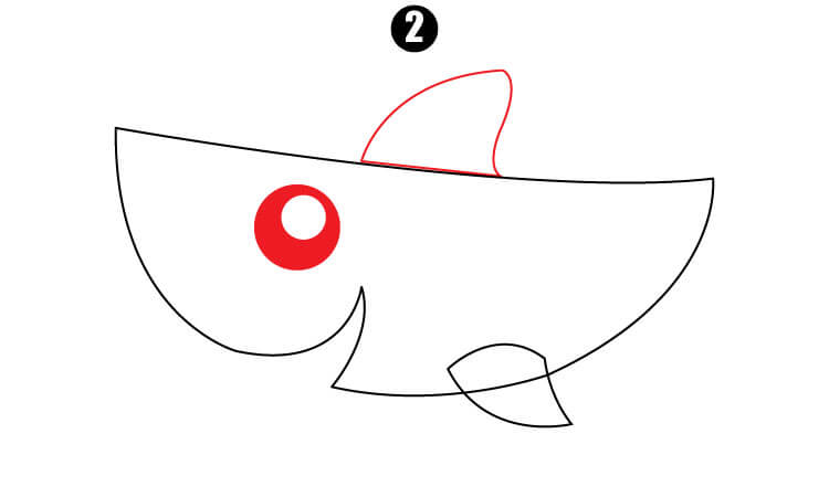 Cute Shark Drawing step2
