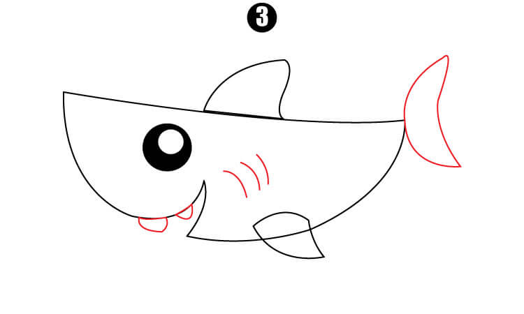 Cute Shark Drawing step3