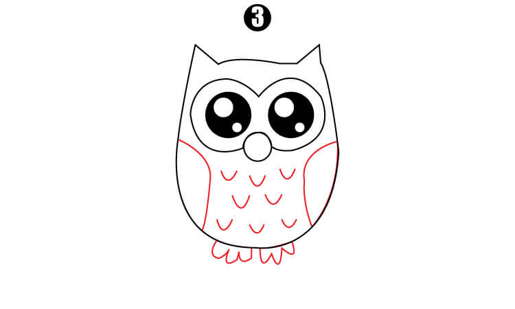Cute owl drawing step3