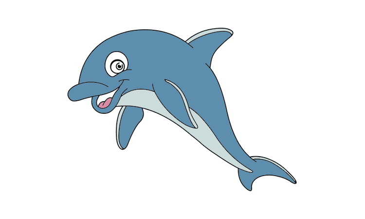 Dolphin Drawing
