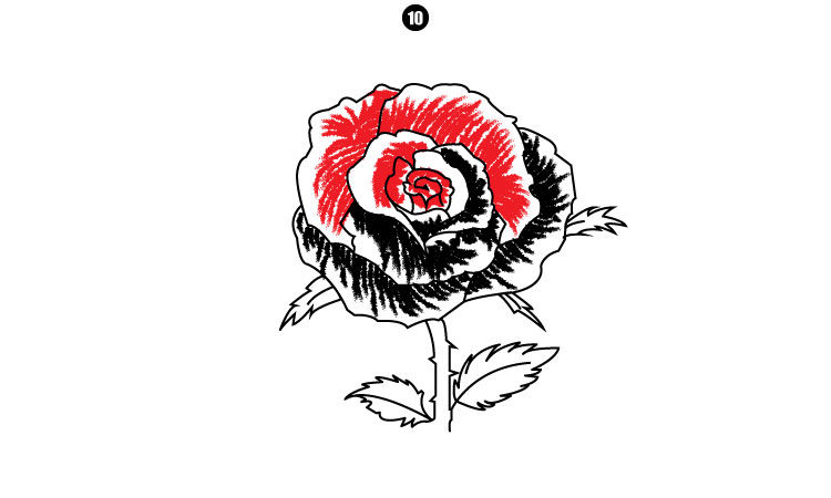 How To Draw A Rose step 10
