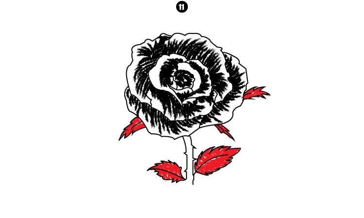 How To Draw A Rose step 11