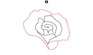 How to Draw a Rose Step by Step - Cool Drawing Idea