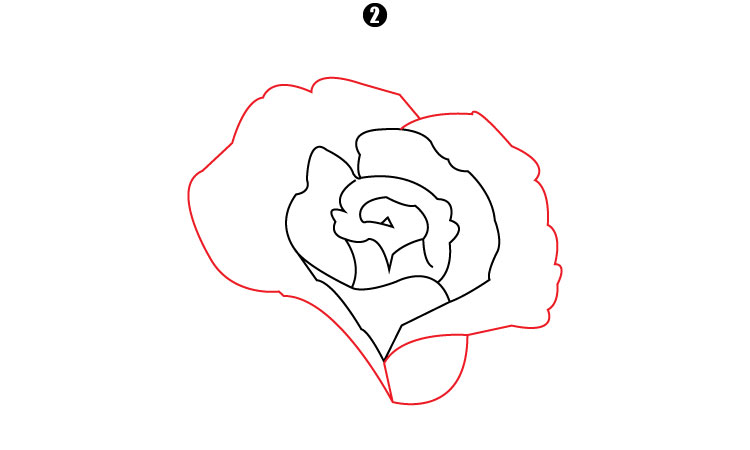 How To Draw A Rose step 2