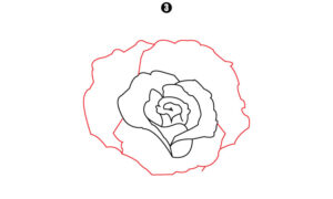 How to Draw a Rose Step by Step - Cool Drawing Idea