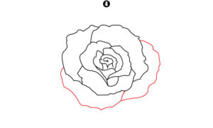 How to Draw a Rose Step by Step - Cool Drawing Idea