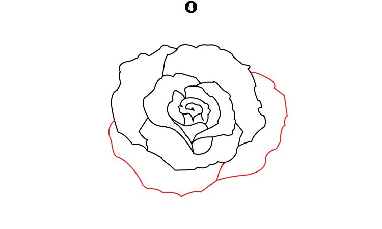 How To Draw A Rose step 4