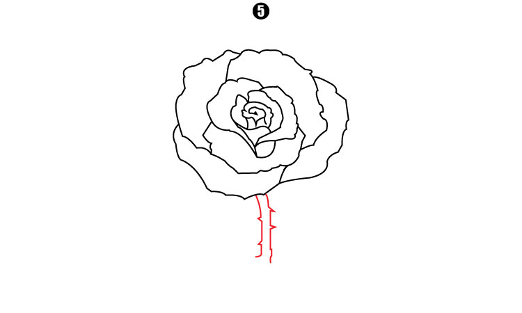 How To Draw A Rose step 5