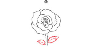 How to Draw a Rose Step by Step - Cool Drawing Idea