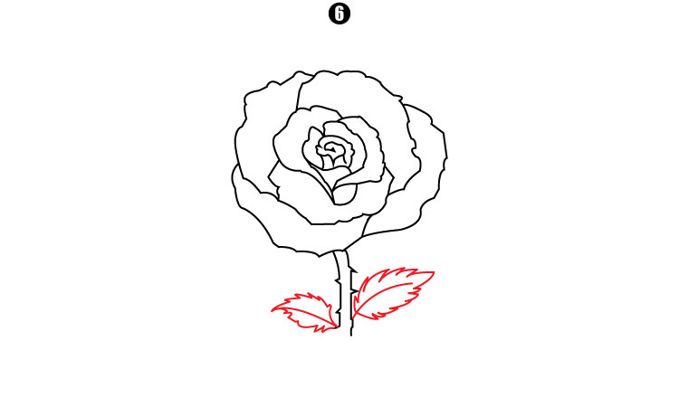 How To Draw A Rose step 6