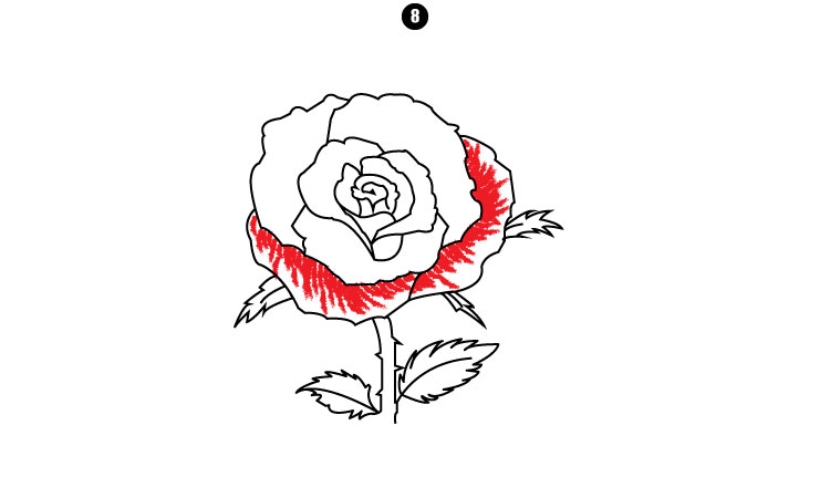 How To Draw A Rose step 8
