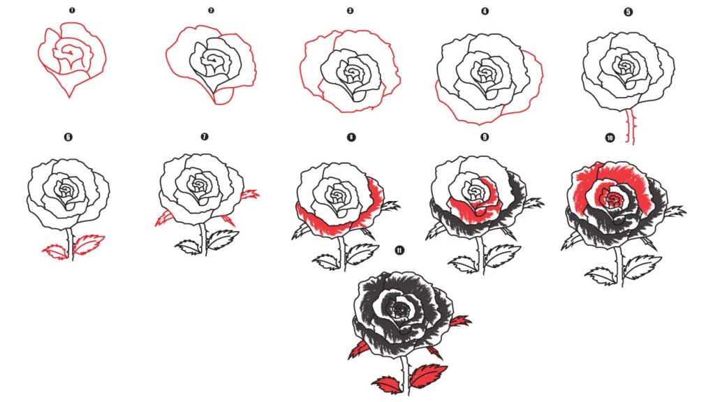 How to Draw a Rose Step by Step - Cool Drawing Idea