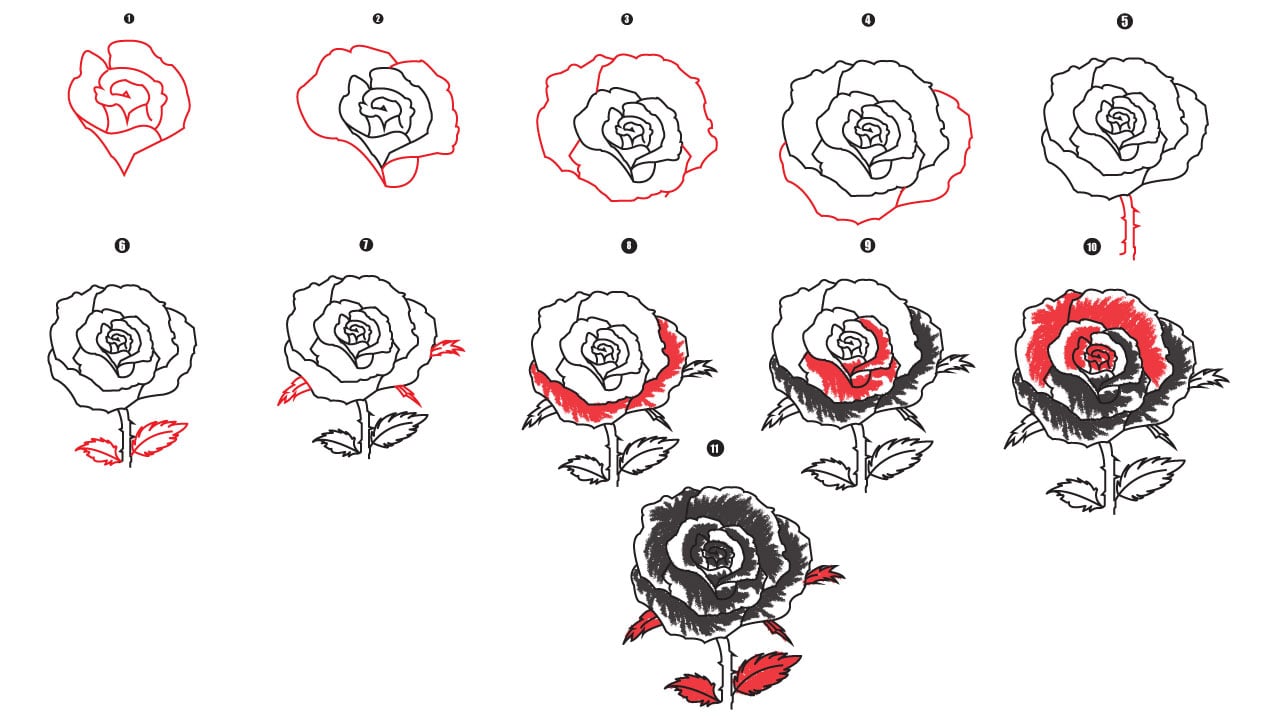 How To Draw A Rose step by step