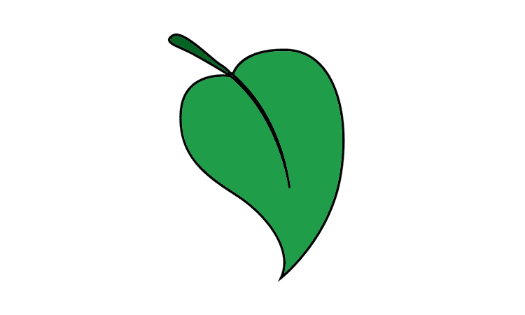 Leaf Drawing