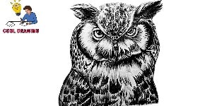 You are currently viewing Owl Face Drawing – Step By Step Tutorial