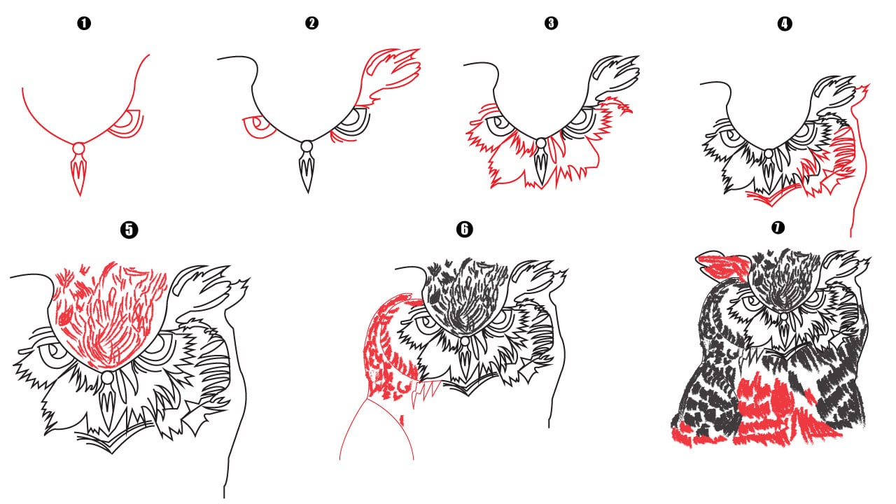 Owl Face Drawing step by step