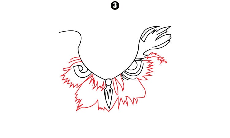 Owl Face Drawing step3