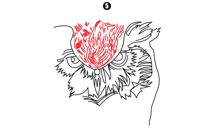 Owl Face Drawing step5