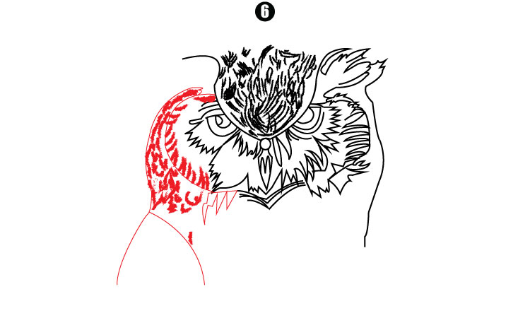 Owl Face Drawing step6