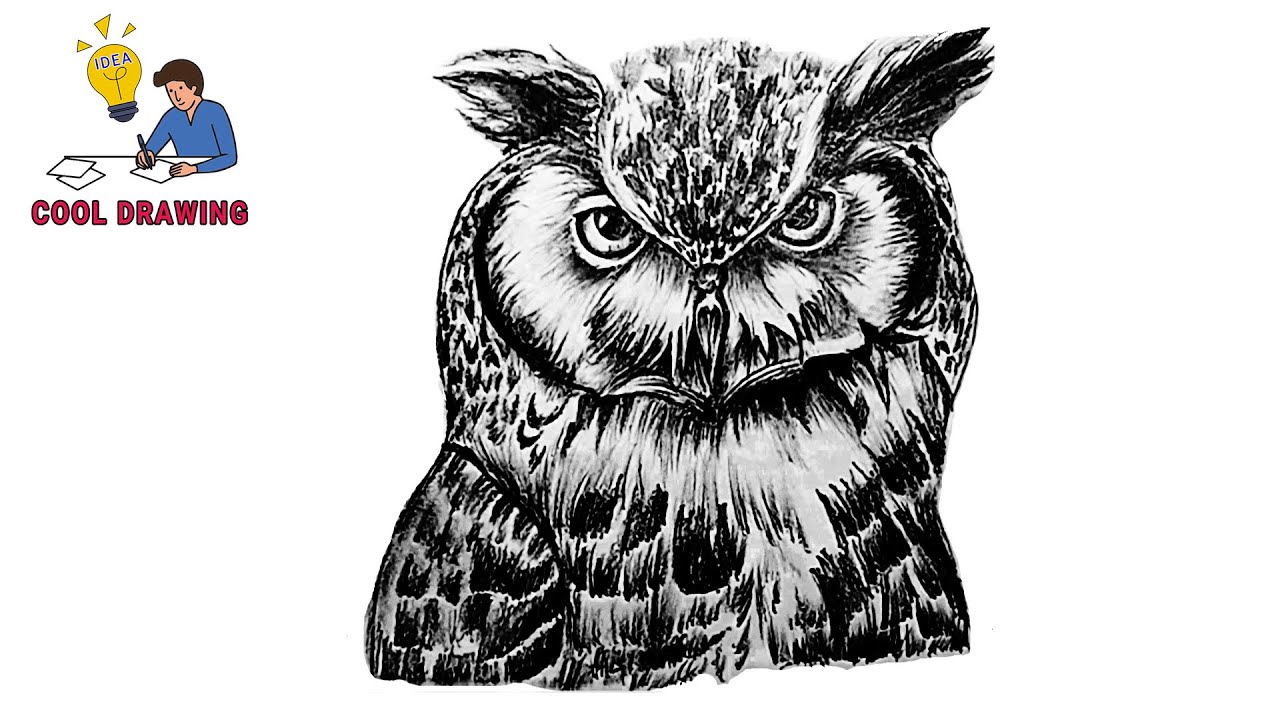 Owl Face Drawing