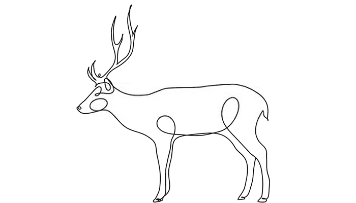 Deer line Drawing