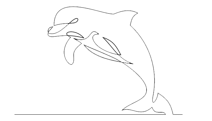 Dolphin line Drawing