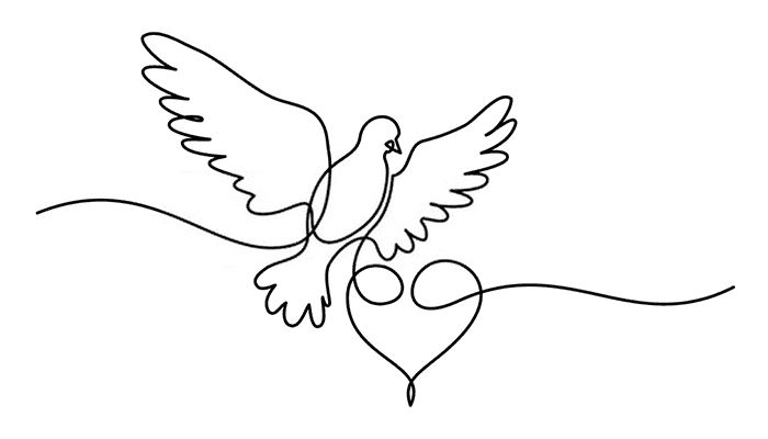 Dove line Drawing
