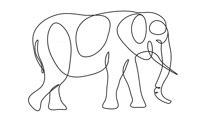 Elephant line Drawing