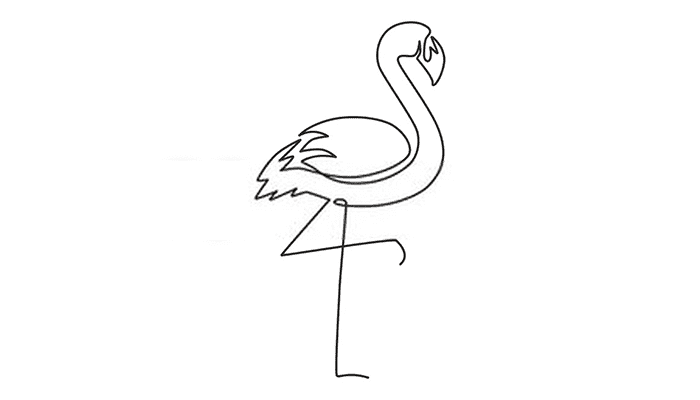 Flamingo line Drawing