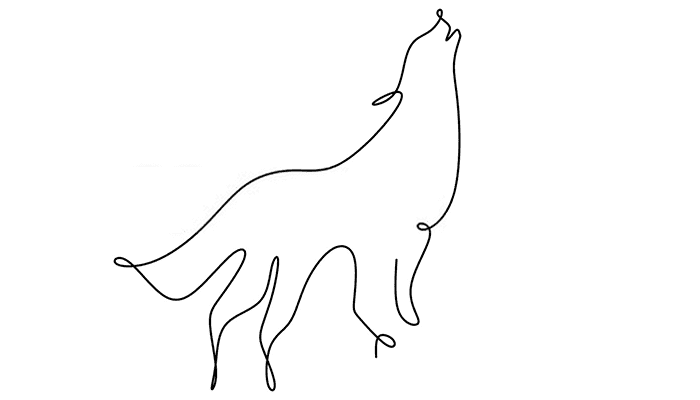 Fox line Drawing