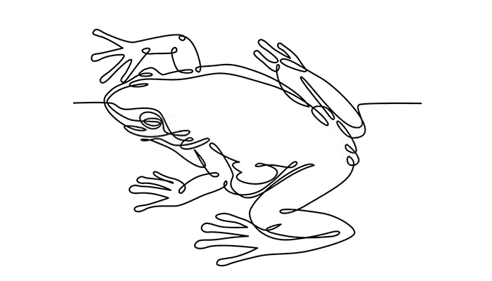 Frog line Drawing