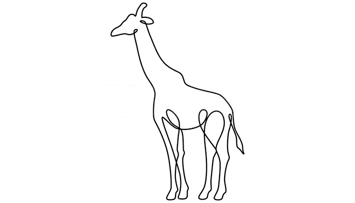 Giraffe line Drawing