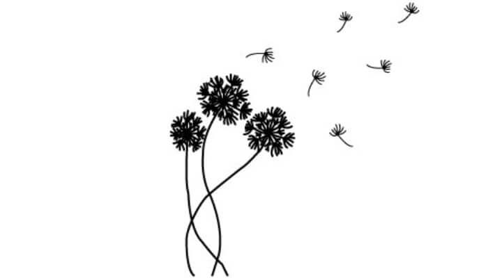 How To Draw A Dandelion