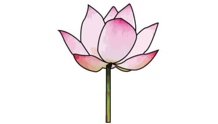 How To Draw Lotus Flower