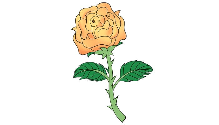 How to Draw a Rose with Stem