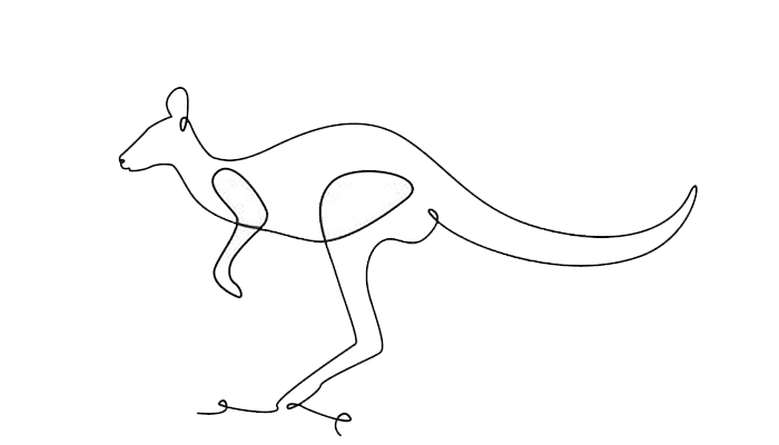Kangaroo line Drawing