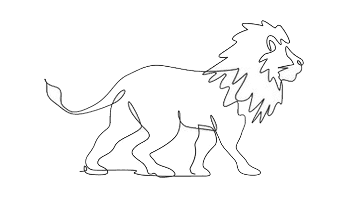 Lion line Drawing