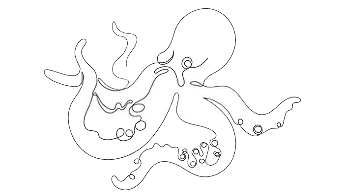 Octopus line Drawing