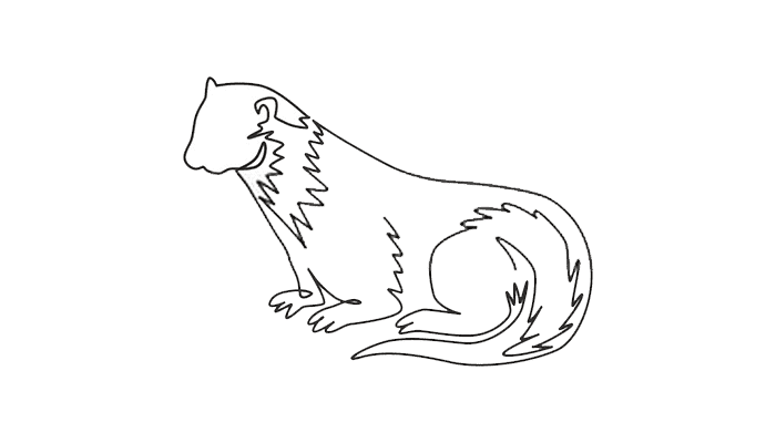 Otter line drawing