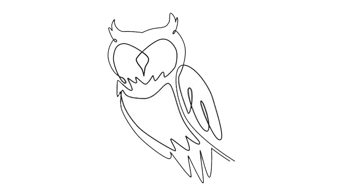 Owl line Drawing