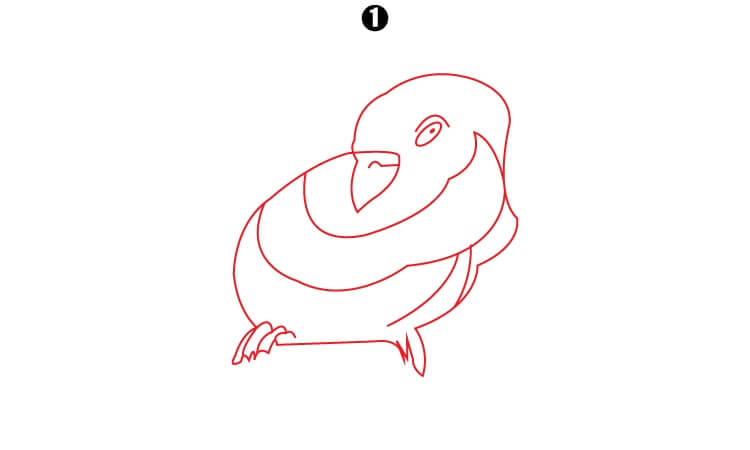 Parrot Couple Drawing step1